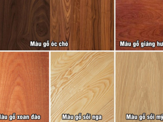 Kiến thức về gỗ tự nhiên 
